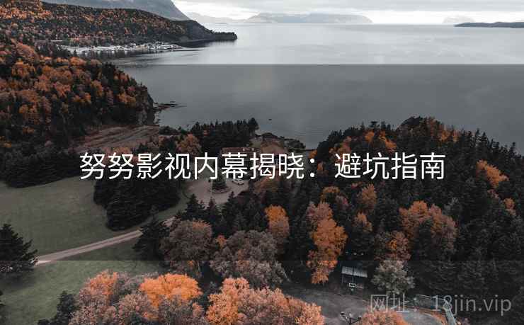 努努影视内幕揭晓：避坑指南