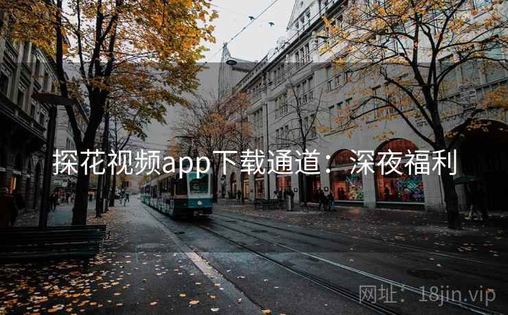 探花视频app下载通道：深夜福利