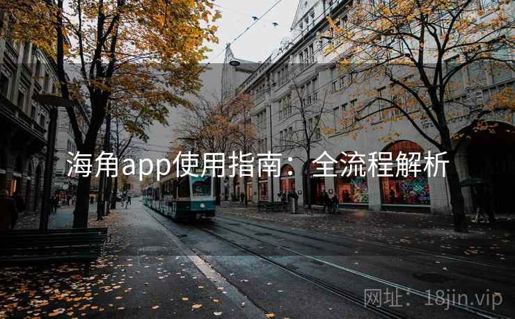海角app使用指南：全流程解析
