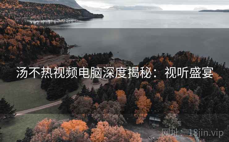 汤不热视频电脑深度揭秘：视听盛宴