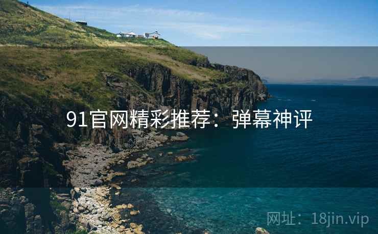 91官网精彩推荐：弹幕神评
