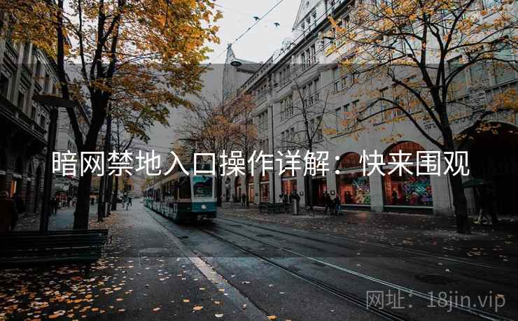 暗网禁地入口操作详解：快来围观