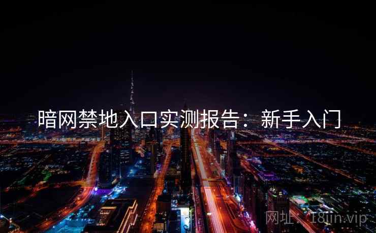 暗网禁地入口实测报告：新手入门